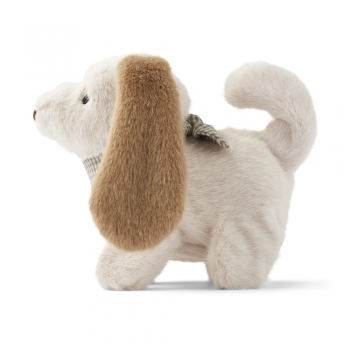 Motoric Teddy Dog Dev