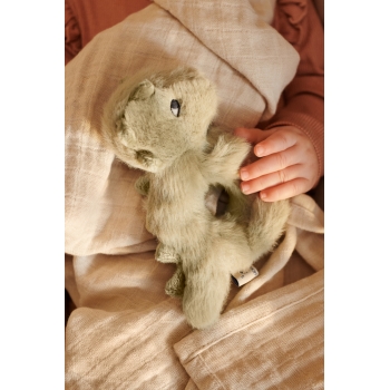 Crocodile Rattle Romain