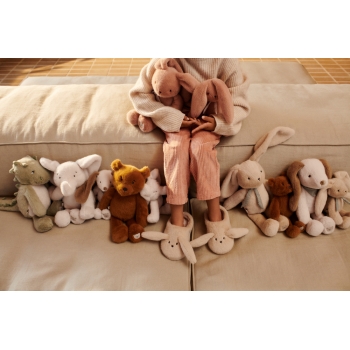 Bear Teddy Berto