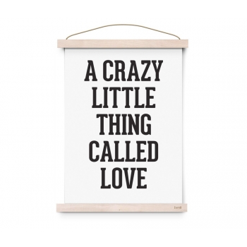 Crazy little Thing Poster